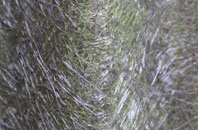 Sunningwell fibreglass roof work